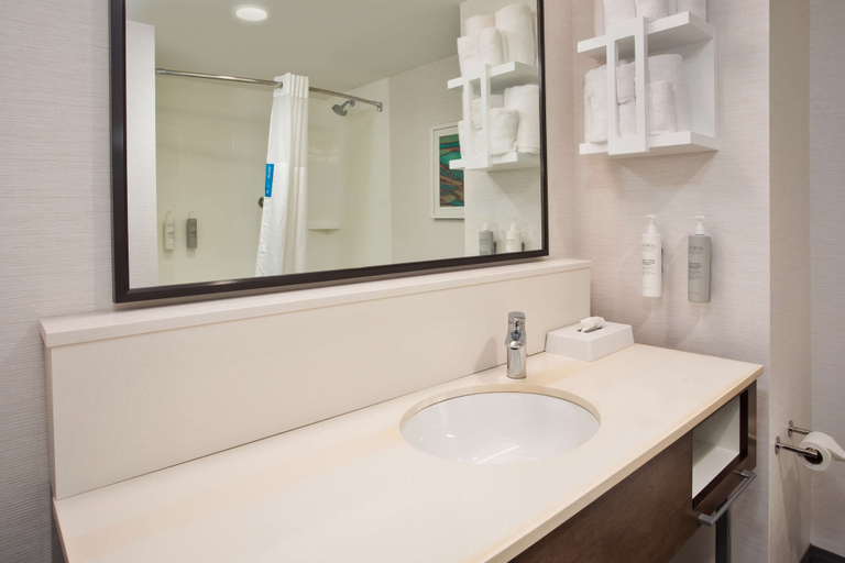 Bathroom 3, Hampton Inn Union City, Obion