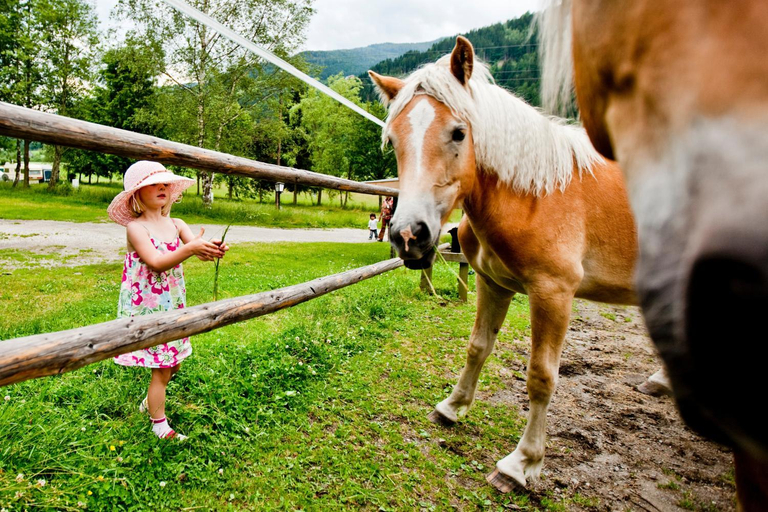 Others 4, Happy Camp Mobile Homes in Camping Bella Austria, Murau