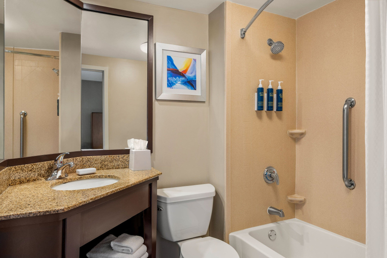 Bathroom 4, Four Points by Sheraton Chicago Westchester/Oak Brook, Cook