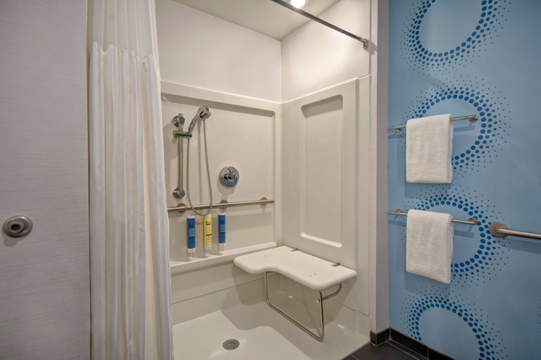 Bathroom 4, Tru by Hilton Auburn, De Kalb
