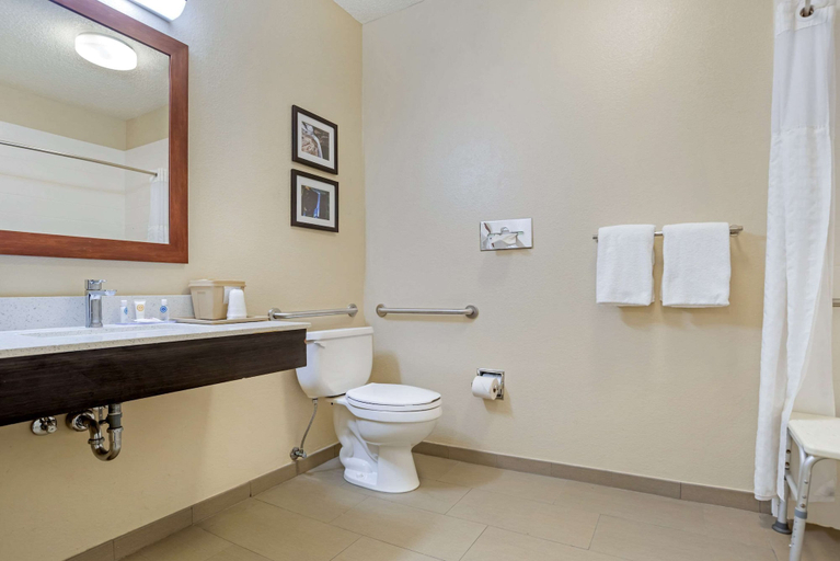 Bathroom 3, Comfort Inn Greenville I-65, Butler