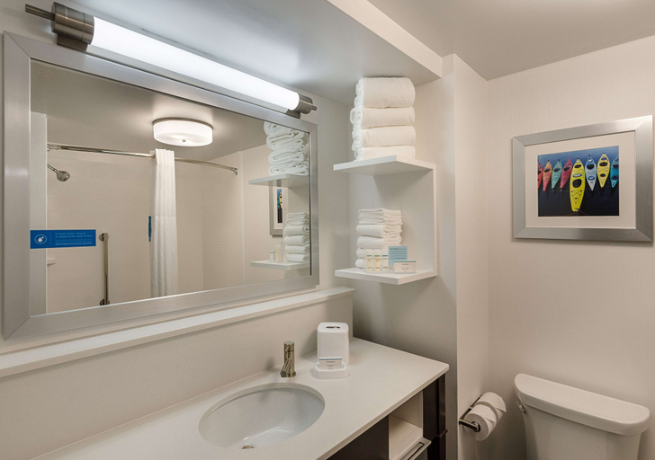 Bathroom 5, Hampton Inn Covington, Alleghany
