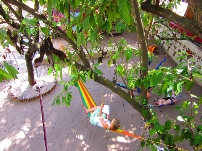Others 5, The Funky Dodo Backpackers Hostel