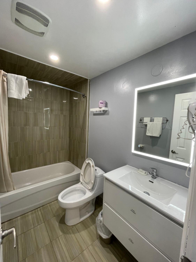 Others 4, Royal Inn, Halton