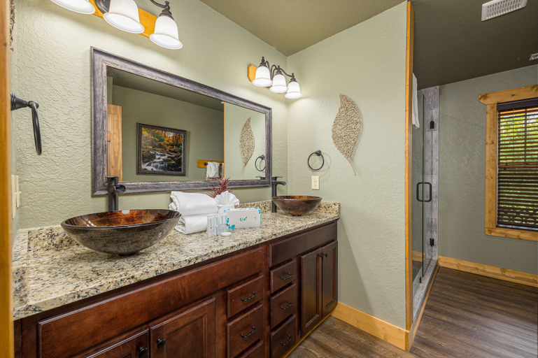 Bathroom 3, Smoky Mountain Plunge, Sevier