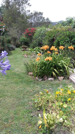 Others 5, Habitacion Hemerocallis - Hospedaje Lo De Juan y Mabel, Tandil