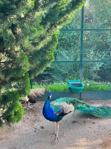 Garden 2, Chateau de la Clapiere, Var
