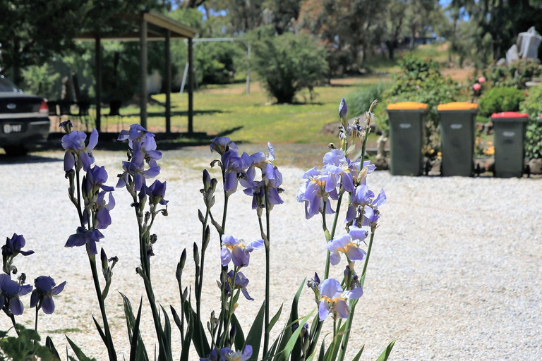 Others 4, Wattle Grove Motel Maryborough, C. Goldfields - M'borough
