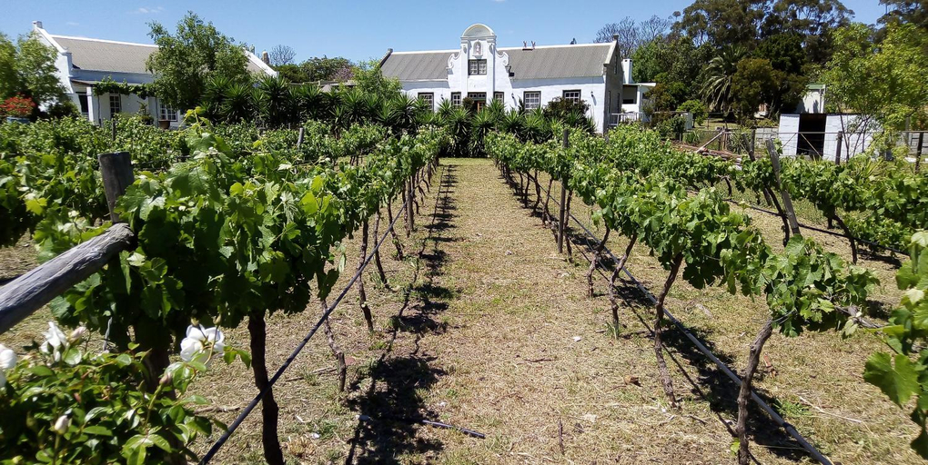 Others 4, de Kleine Kelder, Overberg
