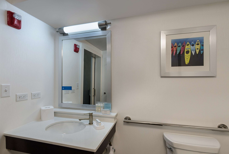 Bathroom 5, Hampton Inn Covington, Alleghany