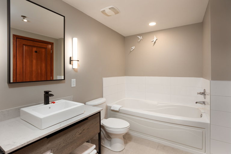 Bathroom 5, Sommet des Neiges, Les Laurentides