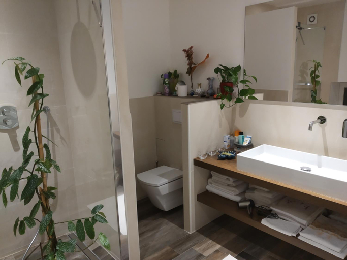 Others 2, Le Terebinthe B&B, Vaucluse