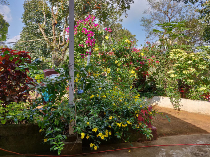 Others 4, Vacanza Estate House, Kodagu