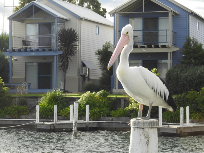 Others 5, Captains Cove Waterfront Resort, E. Gippsland - Bairnsdale