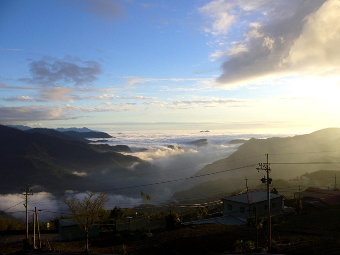 Others 3, Alishan Mao Hsin, Chiayi County