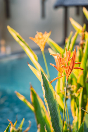 Sport & Beauty 5, Gili Divers Hotel, Lombok