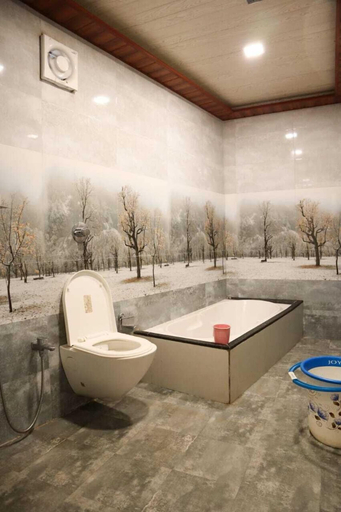 Bathroom 3, Hollywood Palace Resort, Satara