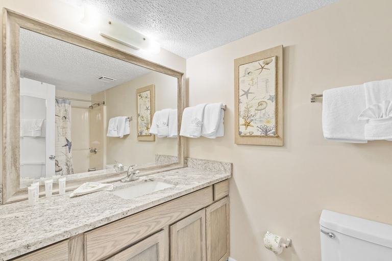Bathroom 4, Phoenix V Unit 816, Baldwin