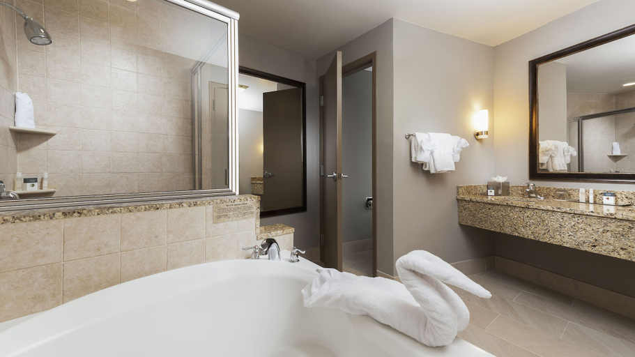 Bathroom 5, DoubleTree by Hilton Hotel West Palm Beach Airport, Palm Beach