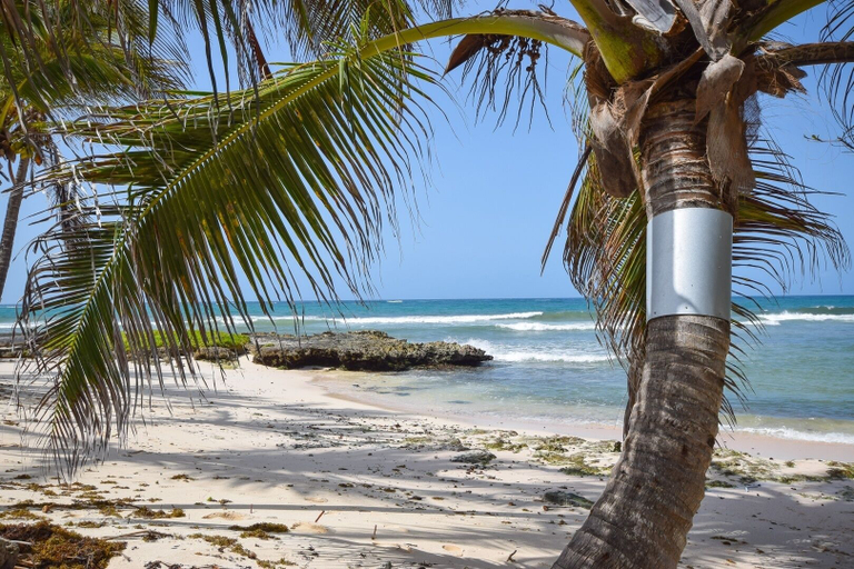 Others 5, Oceanfront 2-bed Apt With Pool Near Surfing - Rosalie #2 2 Bedroom Apts by Bluescape