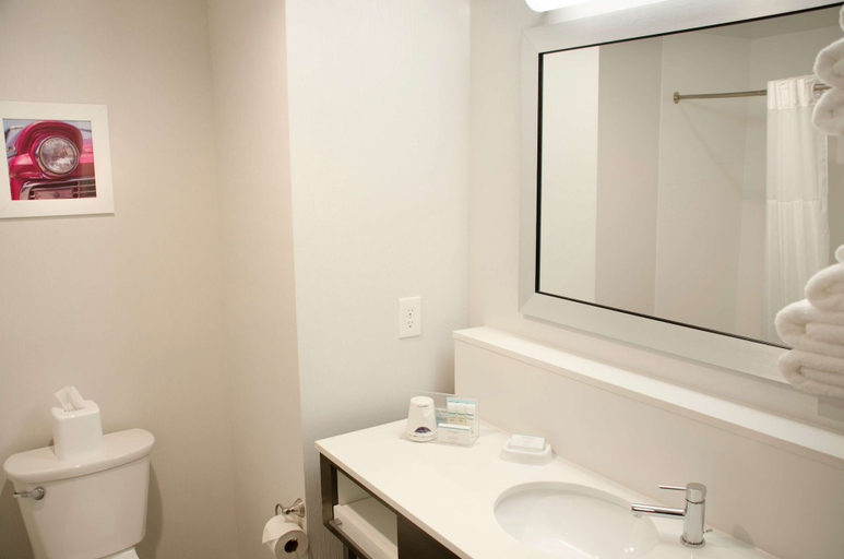 Bathroom 4, Hampton Inn Lebanon, Lebanon