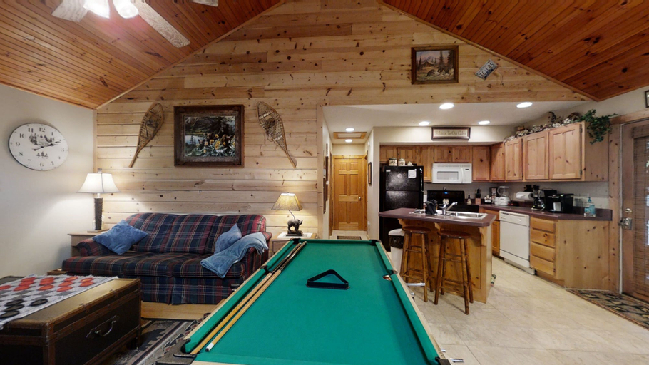Others 5, 3 Bears 1 Bedroom, Sevier