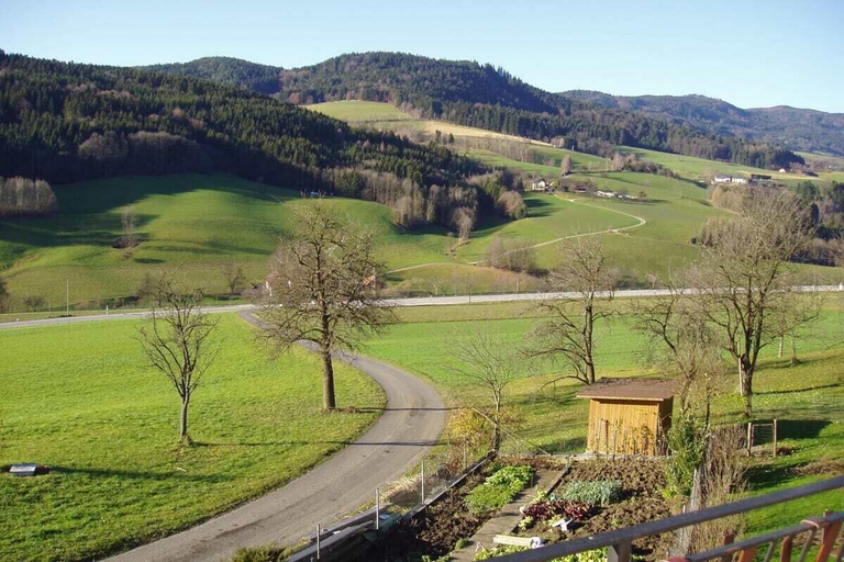 Mountain view, Bauernhof Waira, Melk