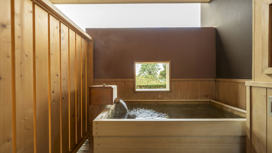 Bathroom 5, Hamachidorinoyu Kaisyu, Shirahama