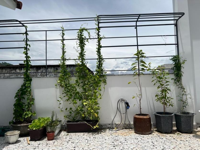 Others 2, Tom Homestay Quy Nhon, Qui Nhơn