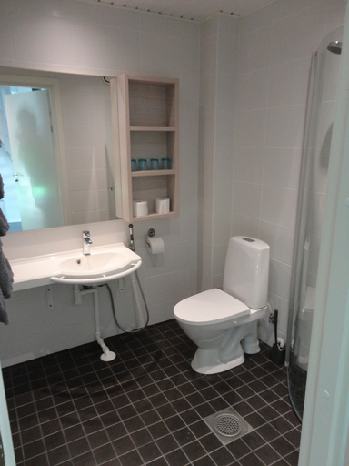Bathroom 5, Varjola Holiday Center, Central Finland