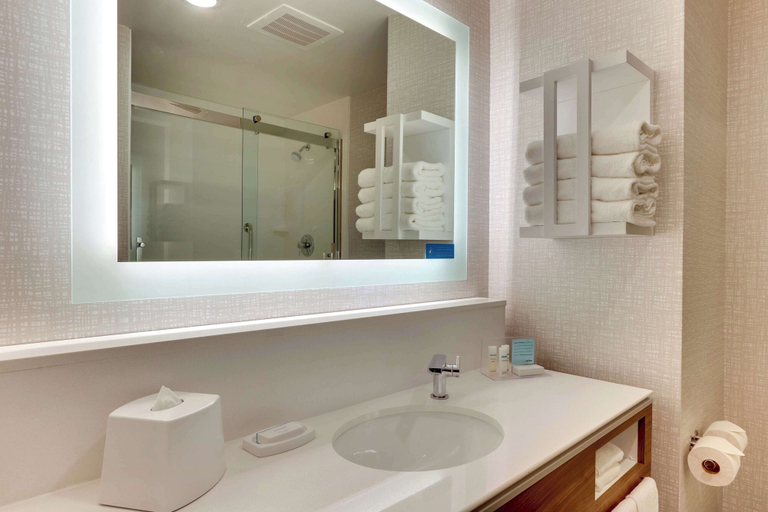 Bathroom 4, Hampton Inn Lebanon, Boone