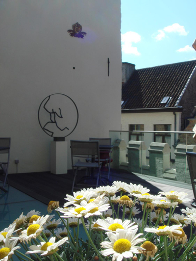 Others 4, B&B Huis ´T Schaep, West-Vlaanderen
