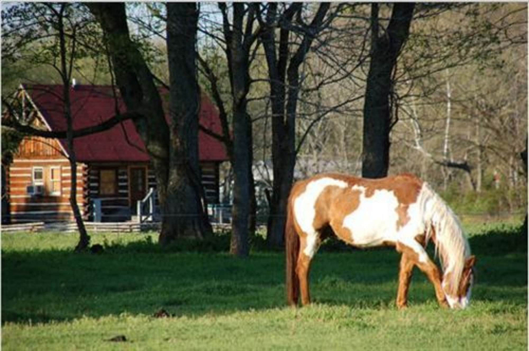 Property amenity 2, Creekwalk Inn and Cabins, Cocke