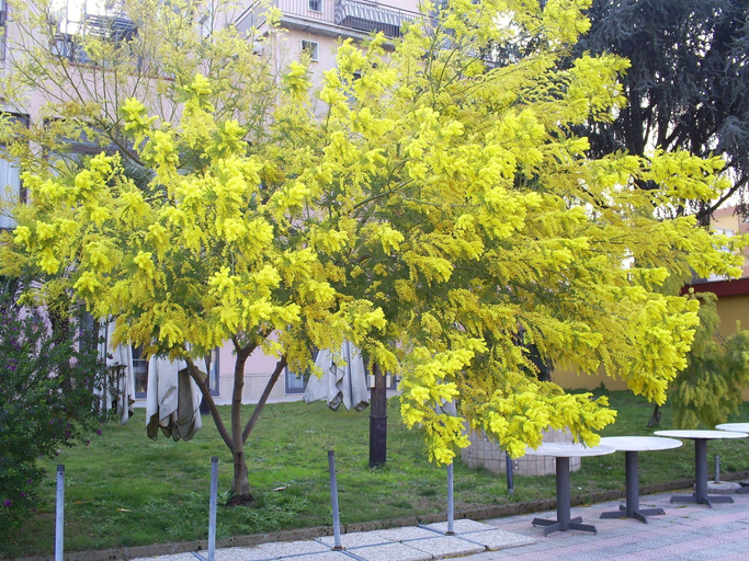 Others 5, Pisani Hotel, Caserta