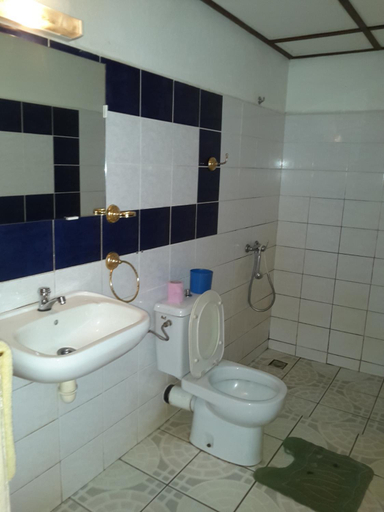 Bathroom 4, Hotel Valiha, Diana