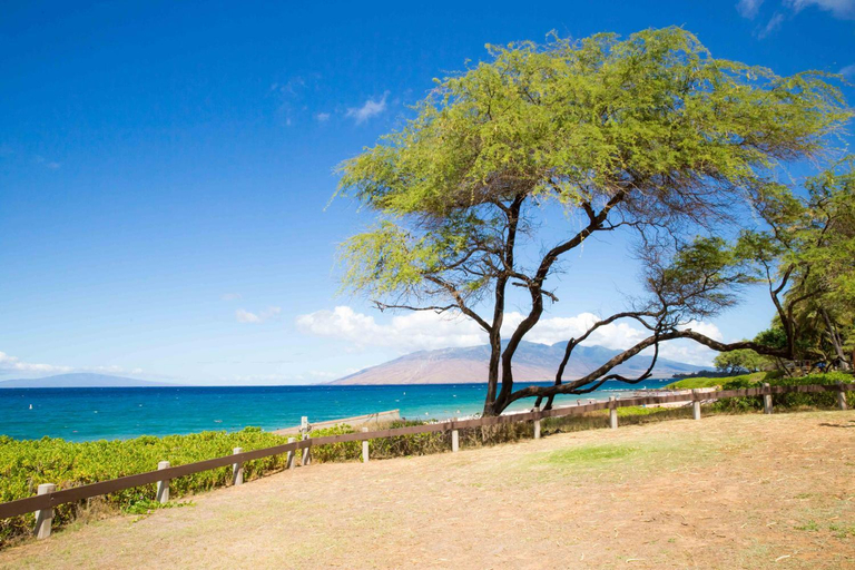 Others 4, Hale Kamaole 245, Maui