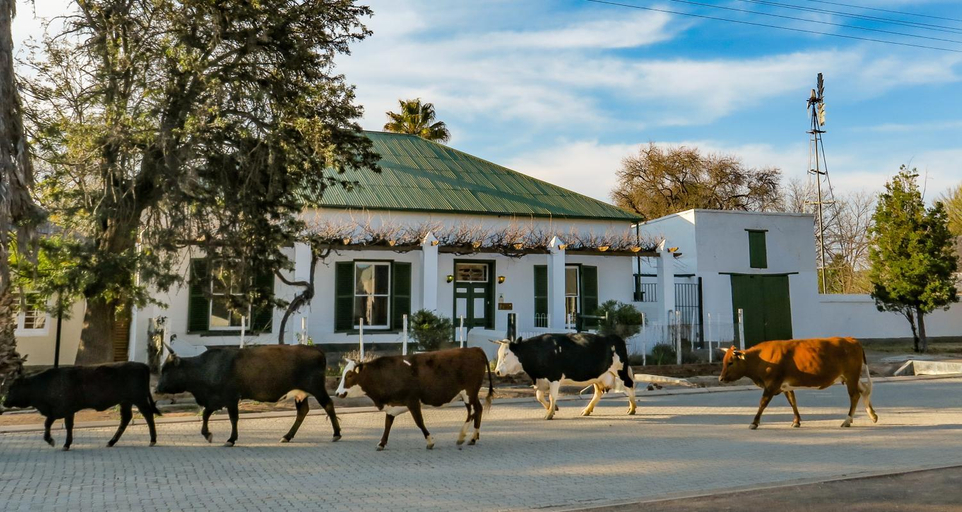 Others 3, Colonial Karoo Guesthouse, Central Karoo