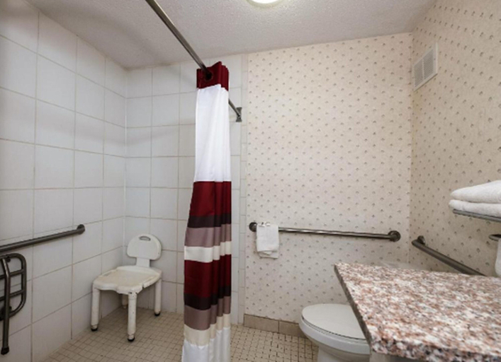 Bathroom 5, Horizon Inn & Suites, Anderson
