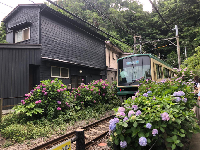 Exterior & Views 2, R&L House, Fujisawa
