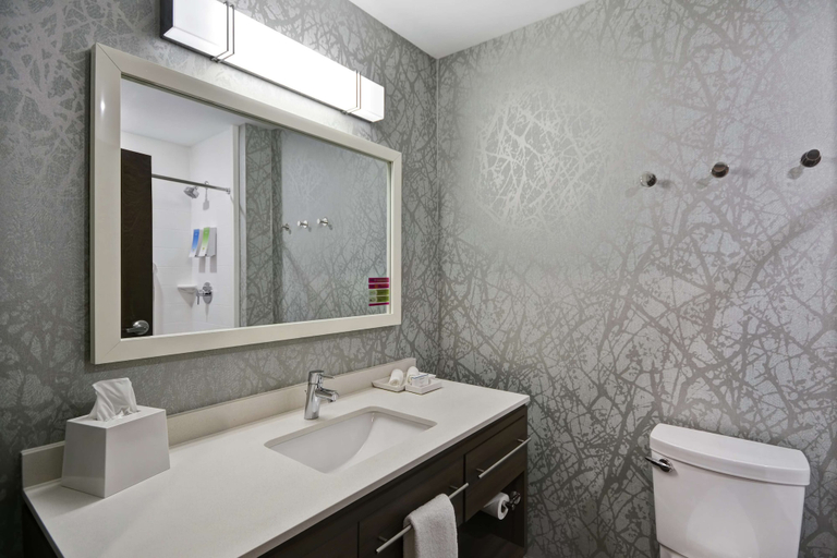 Bathroom 4, Home2 Suites by Hilton Grand Rapids North, Kent