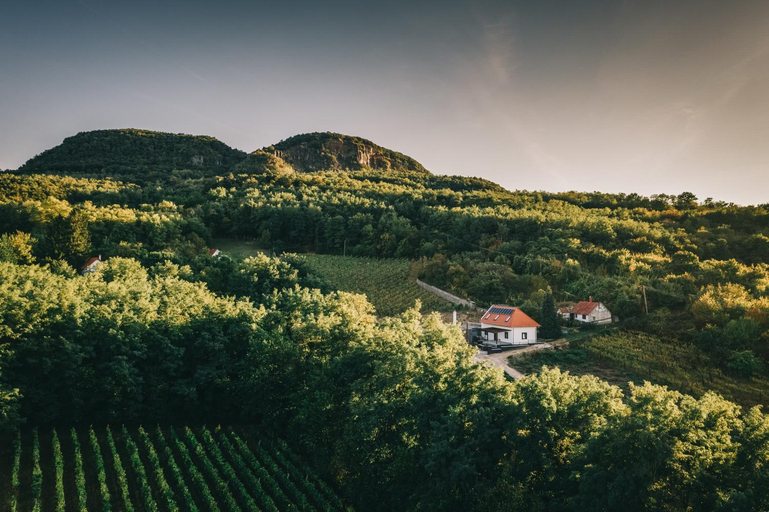 Others 2, FATA Birtok, Tapolca