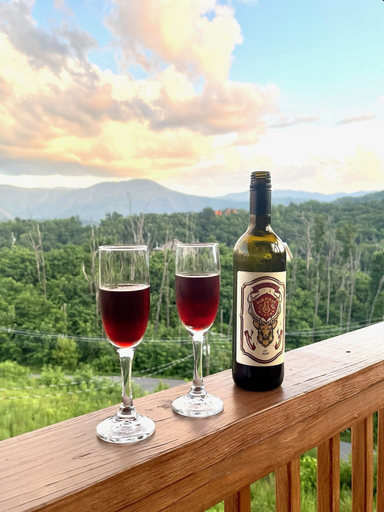 Food & Drinks, A+ Amazing Views, Sevier