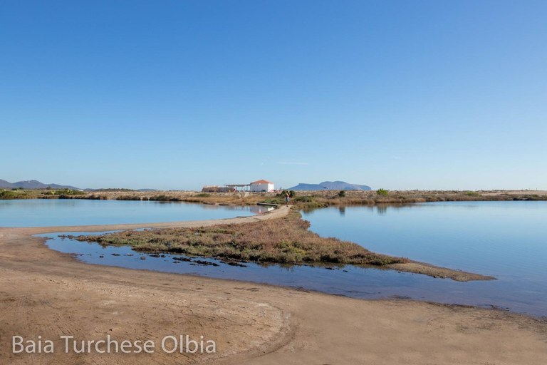 Surrounding environment 2, Baia Turchese Olbia, Olbia-Tempio
