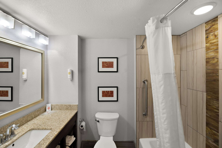 Bathroom 4, Comfort Inn & Suites Lovington, Lea