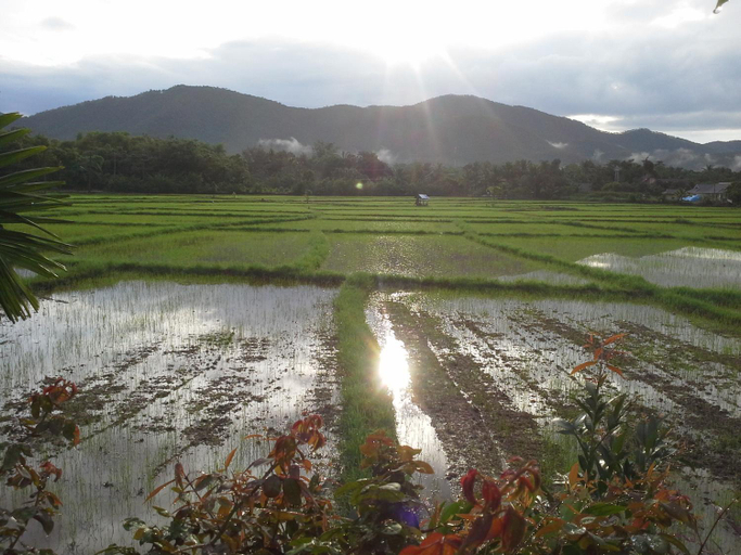 Others 5, Jamjuree Garden, Doi Saket
