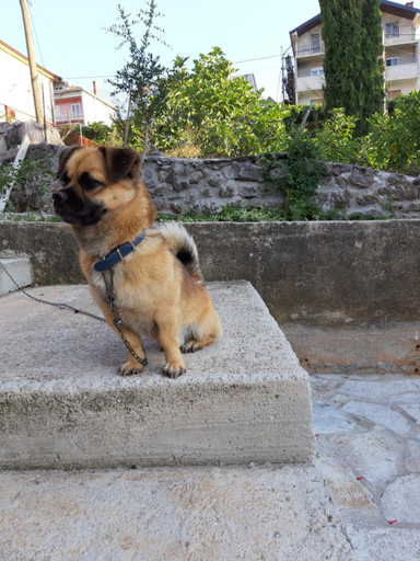 Others 5, Nijona 1, Trebinje