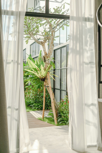 Scenery 21