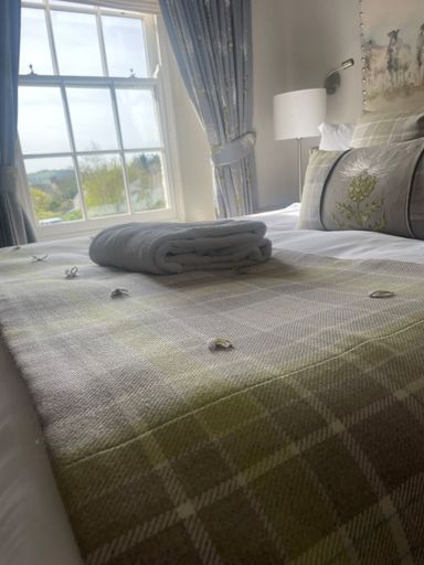 Bedroom 2, Foyles of Glasbury, Powys