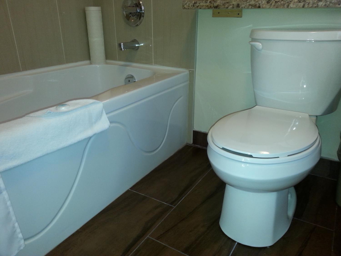 Bathroom 5, Barclay Hotel Vancouver, Greater Vancouver