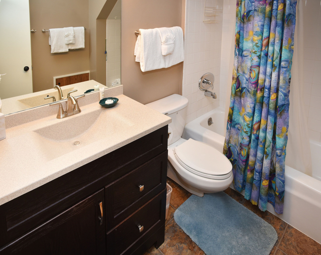 Bathroom 2, 385 Forest Rd. 4 Bedroom Home by RedAwning, Eagle